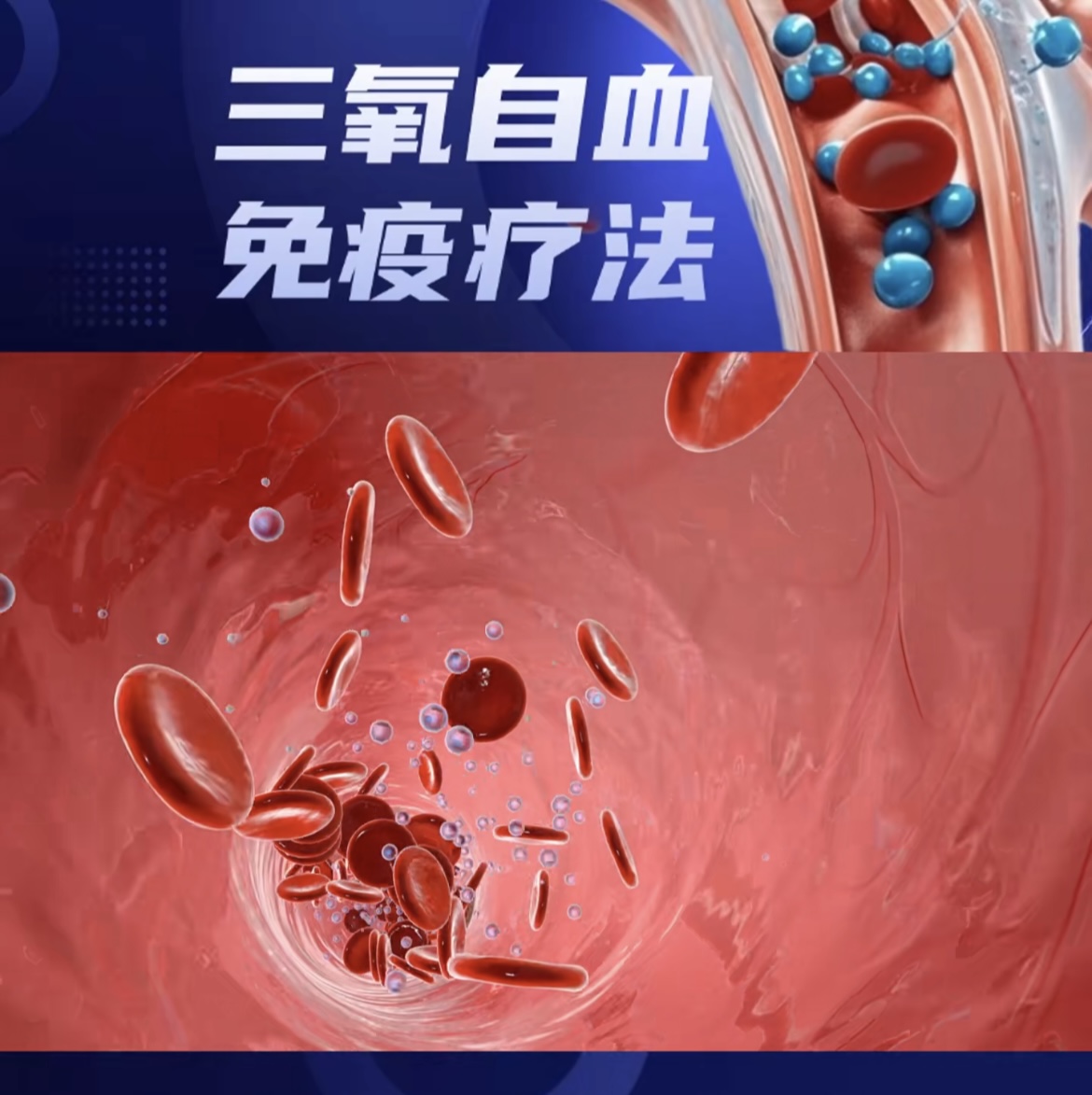 微信图片_20250917081033