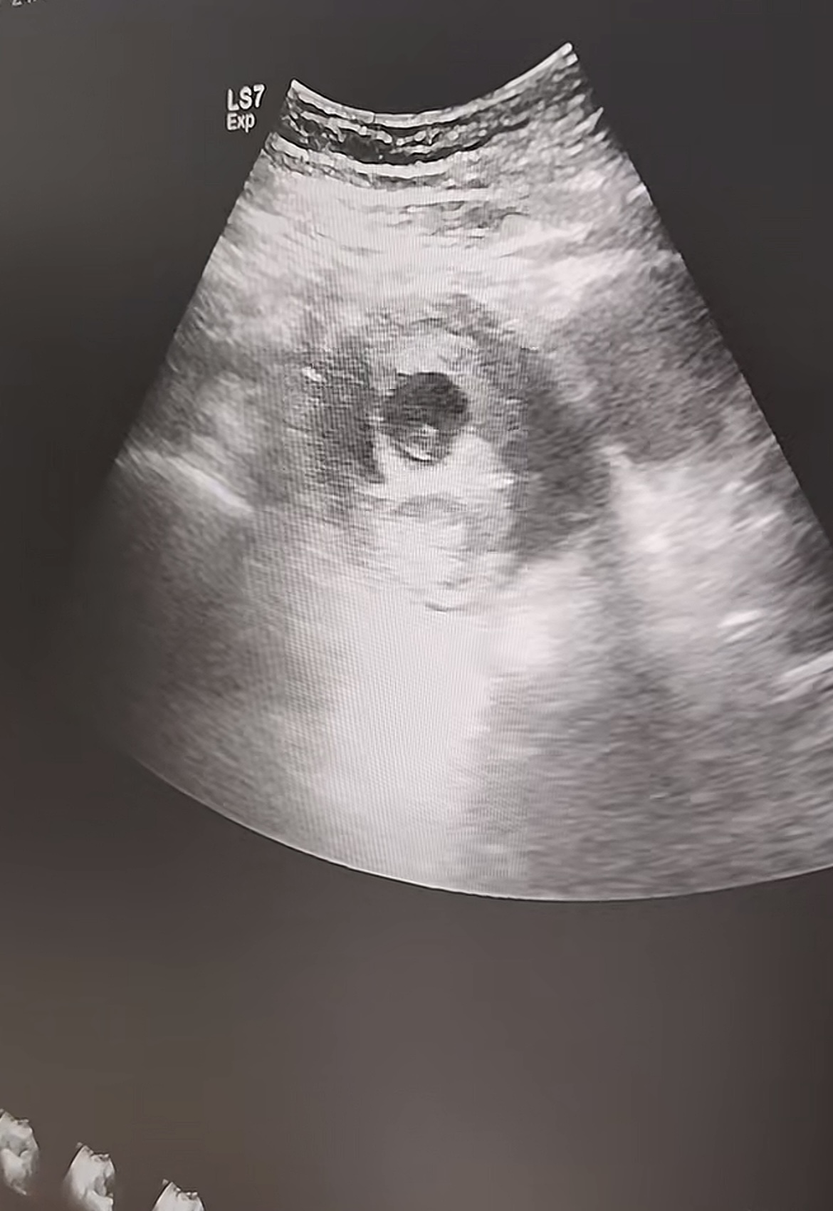 微信图片_20250927085717